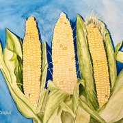 Watercolor and gouache painting of corn