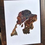 Feather Silhouette