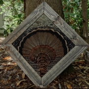 Turkey Feather Mount