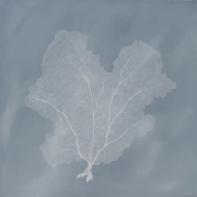 Sea Veil, 48x48 inches, acrylic on gallery wrapped canvas 